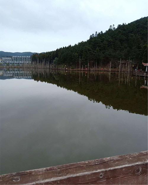 湖南力民電梯有限公司,邵陽(yáng)電梯銷售,邵陽(yáng)電梯安裝,湖南電梯維修,自動(dòng)扶梯,自動(dòng)人行梯 湖南力民電梯有限公司,邵陽(yáng)電梯銷售,邵陽(yáng)電梯安裝,湖南電梯維修,自動(dòng)扶梯,自動(dòng)人行梯